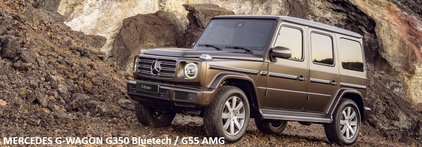 Подвеска Old Man Emu для Mercedes G-class G350 / G55 AMG